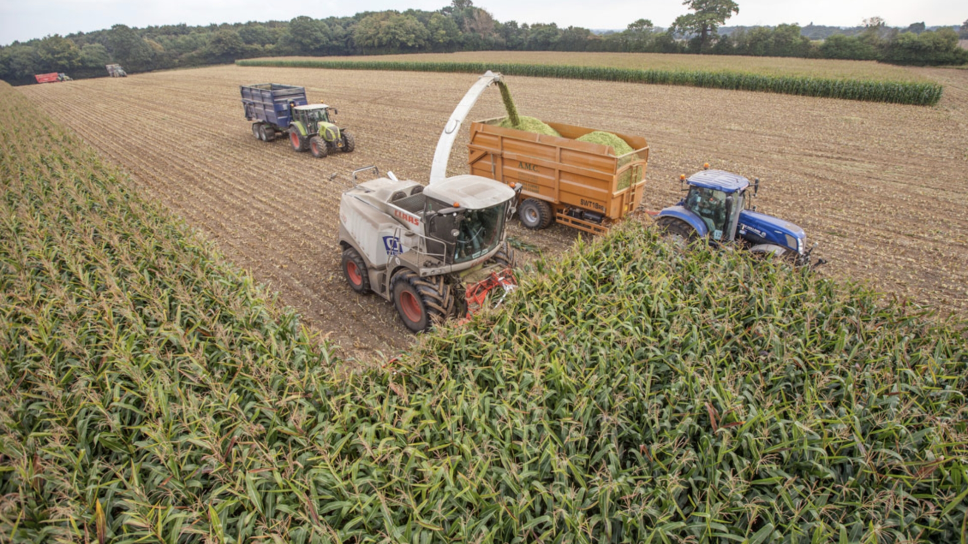 the-best-time-to-harvest-maize-o-j-neil-contracting-o-j-neil